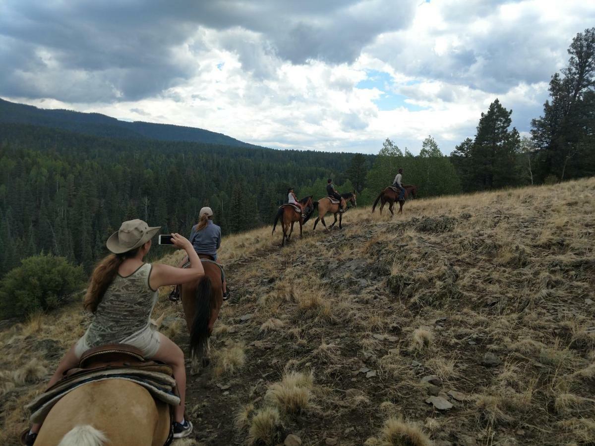 Your Home Away From Home! Pinetop-Lakeside Εξωτερικό φωτογραφία