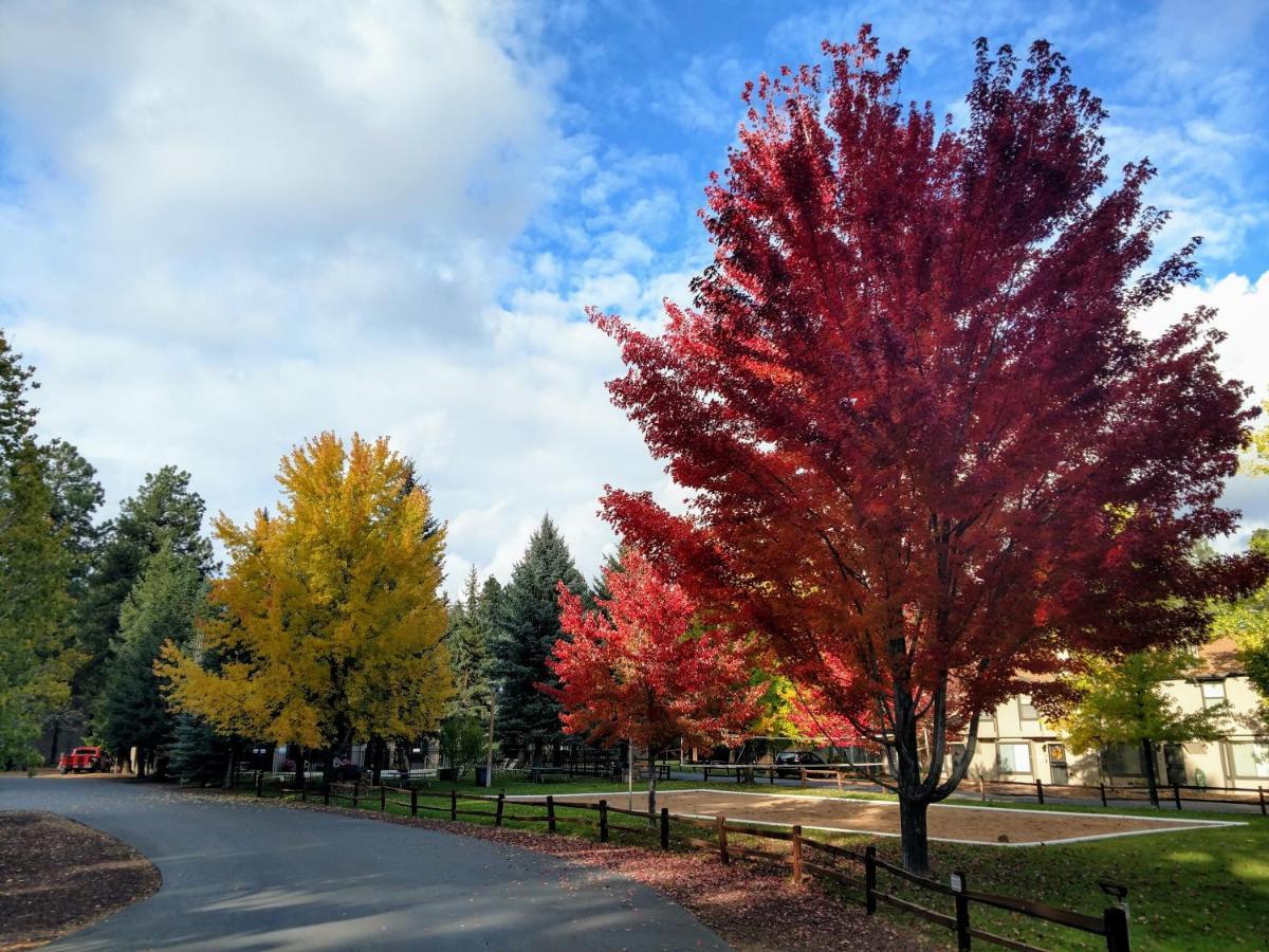 Your Home Away From Home! Pinetop-Lakeside Εξωτερικό φωτογραφία